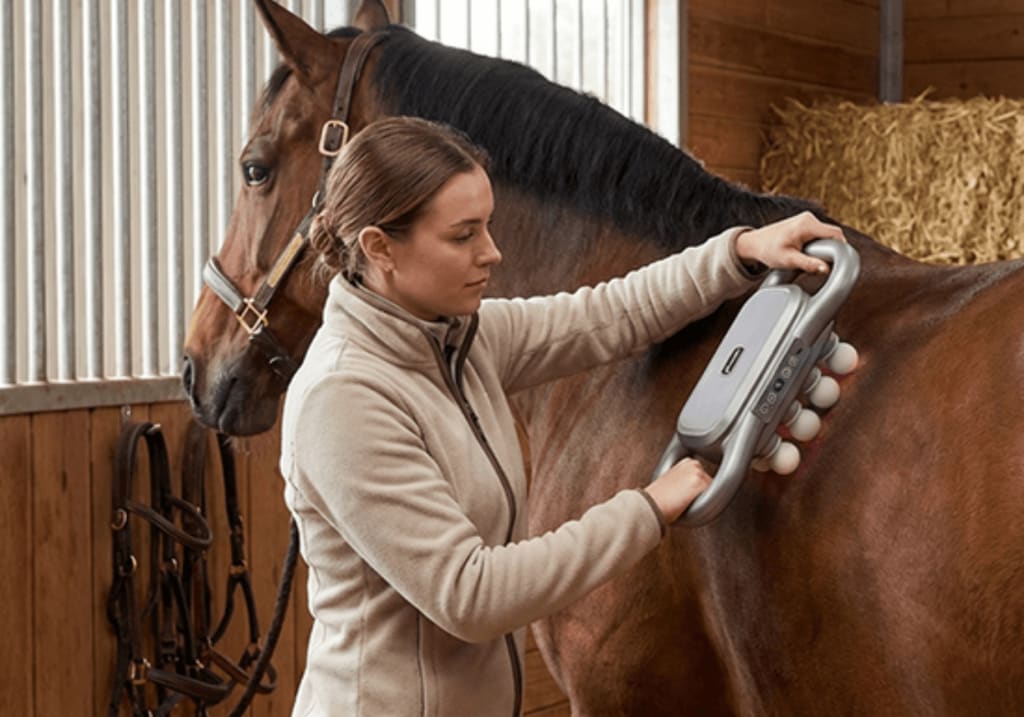HorseHalo™ 8 Heads Red Light Massage Gun